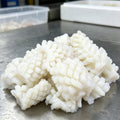 Fresh Flower-Cut Squid Ready To Cook