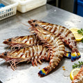 Premium Fresh Whole Tiger Prawns
