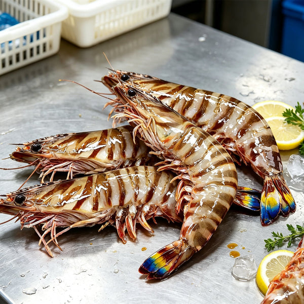 Premium Fresh Whole Tiger Prawns